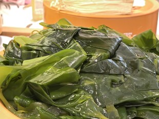 新鲜海带色泽翠绿诱人