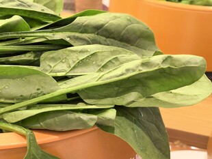 新鲜菠菜摆放在货架上