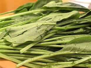 新鲜菠菜叶翠绿诱人