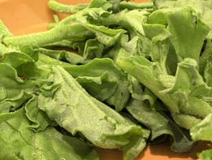 新鲜生菜叶