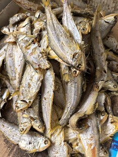 干制小鱼干特写