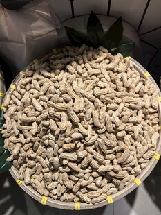 满满一盆香脆白瓜子