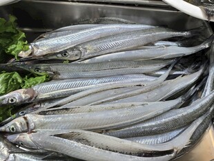 新鲜银鱼待烹饪