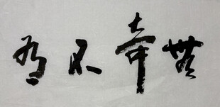 无奇不有 杨克东书法作品