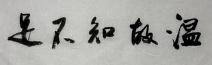 温故知不足 杨克东书法作品