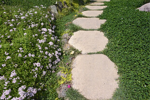 花园小路