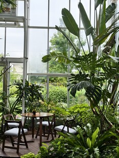 室内绿植造景