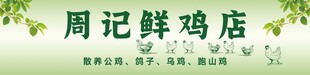 周记鲜鸡店招牌