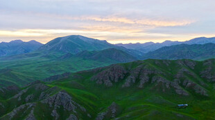 山