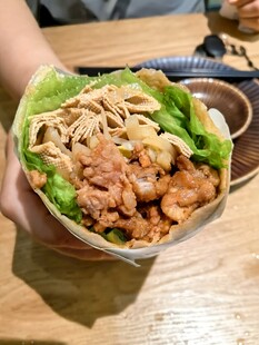 手持美味鸡肉蔬菜卷