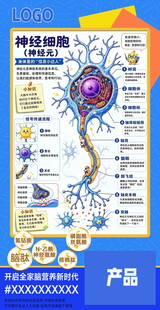 神经细胞结构科普海报
