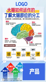 大脑助力海报