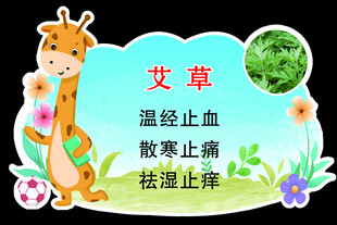 艾草功效展示插画