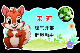 可爱小松鼠与茉莉介绍