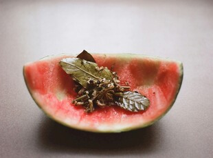 西瓜上的绿植装饰
