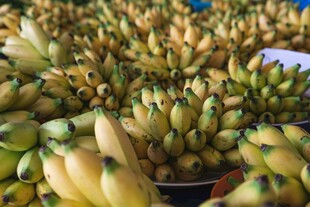 新鲜香蕉堆放在一起展示