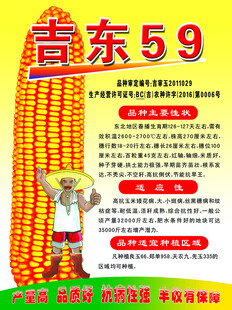 玉米种子海报