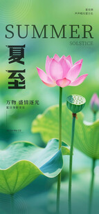 夏至