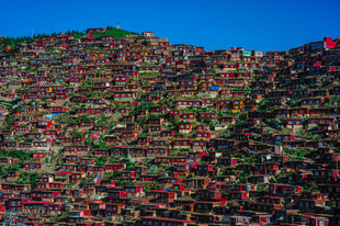 多彩山坡景观