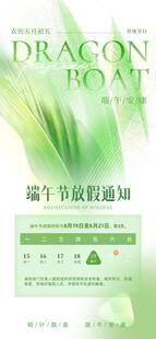 端午龙舟节主题宣传物料