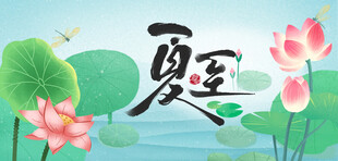 夏至时节荷花绽放