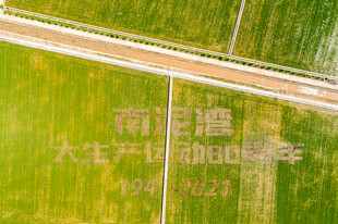 俯瞰绿色田野间的道路