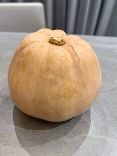 南瓜