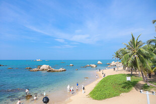 美丽海滨风光