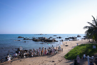 热闹的海滨沙滩场景