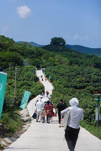山间步道上的徒步人群