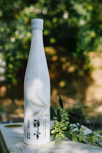 简约白瓶酒置于绿植旁