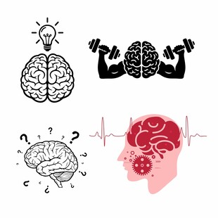 人脑图案
