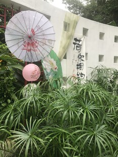 绿植景观