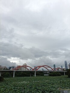 城市湿地与拱桥景观