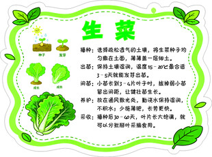 生菜牌异形牌