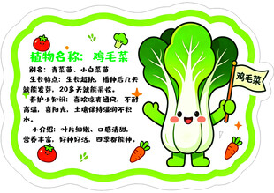 鸡毛菜 异形牌