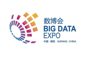 数博会标志 LOGO