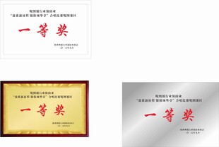 一等奖荣誉证书展示