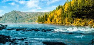山间湍急河流与秋色美景