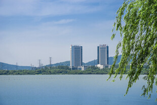 湖畔垂柳映高楼美景