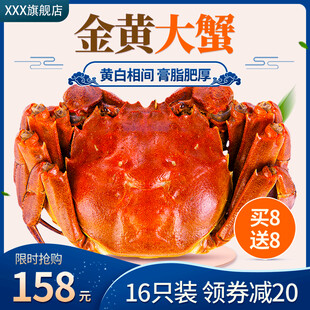 金黄大闸蟹促销特惠