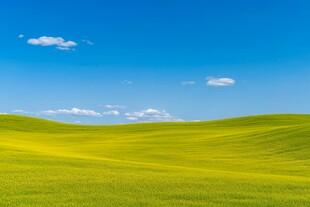 广袤绿野蓝天美景
