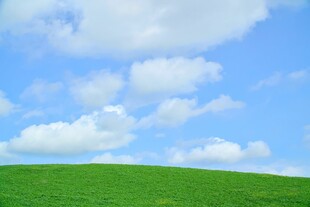 蓝天绿地的美丽自然景观