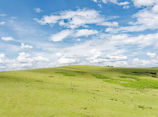 广袤草原蓝天白云美景