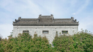 中式古建筑隐于绿植间