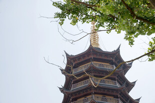 古塔近景枝叶相伴