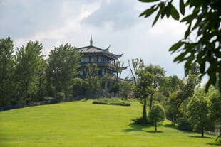 绿意盎然中的古典建筑