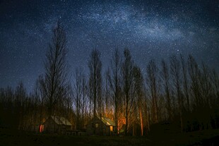 夜空下的树林与璀璨星河