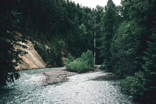 山间溪流绿意盎然之景