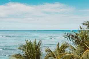 海边椰林邂逅蓝色浪漫